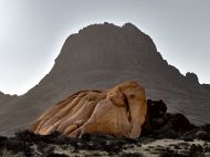  OMaderdonner Ottofant